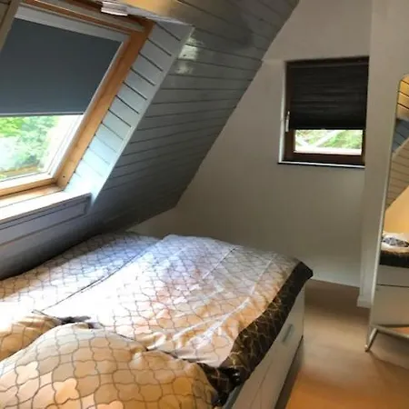 Schoene Altes Gebaelk Fachwerkhaus Апартаменты *